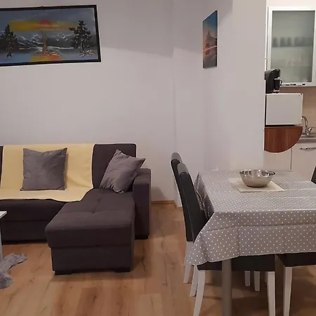 Vanja - Terrace & Bbq Apartment *